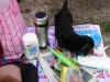 IMG_0315.JPG (127709 oCg)