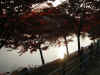 IMG_0604.JPG (122905 oCg)